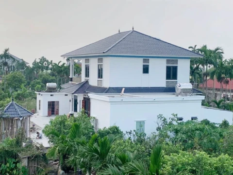 Nhà cho thuê: Miếng đất màu mỡ bị bỏ quên